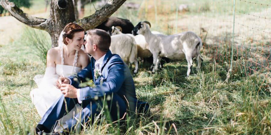 Das verliebte Brautpaar einer Hochzeit auf der Achalm posiert mit niedlichen Schafen.
