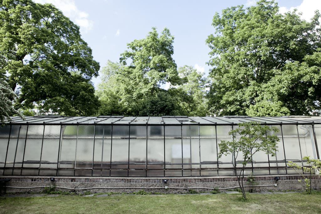 Hochzeitslocation Orangerie Köln: Gewächshaus im Garten