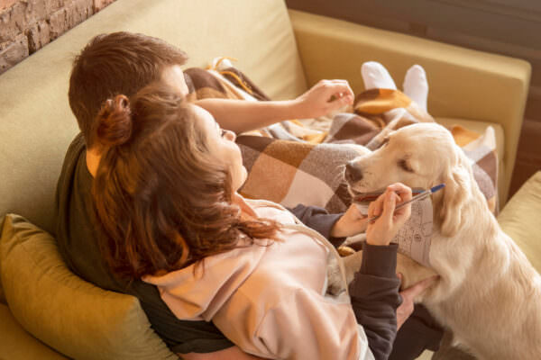 Paar mit Hund liegt entspannt auf dem Sofa und planen ihre Hochzeit