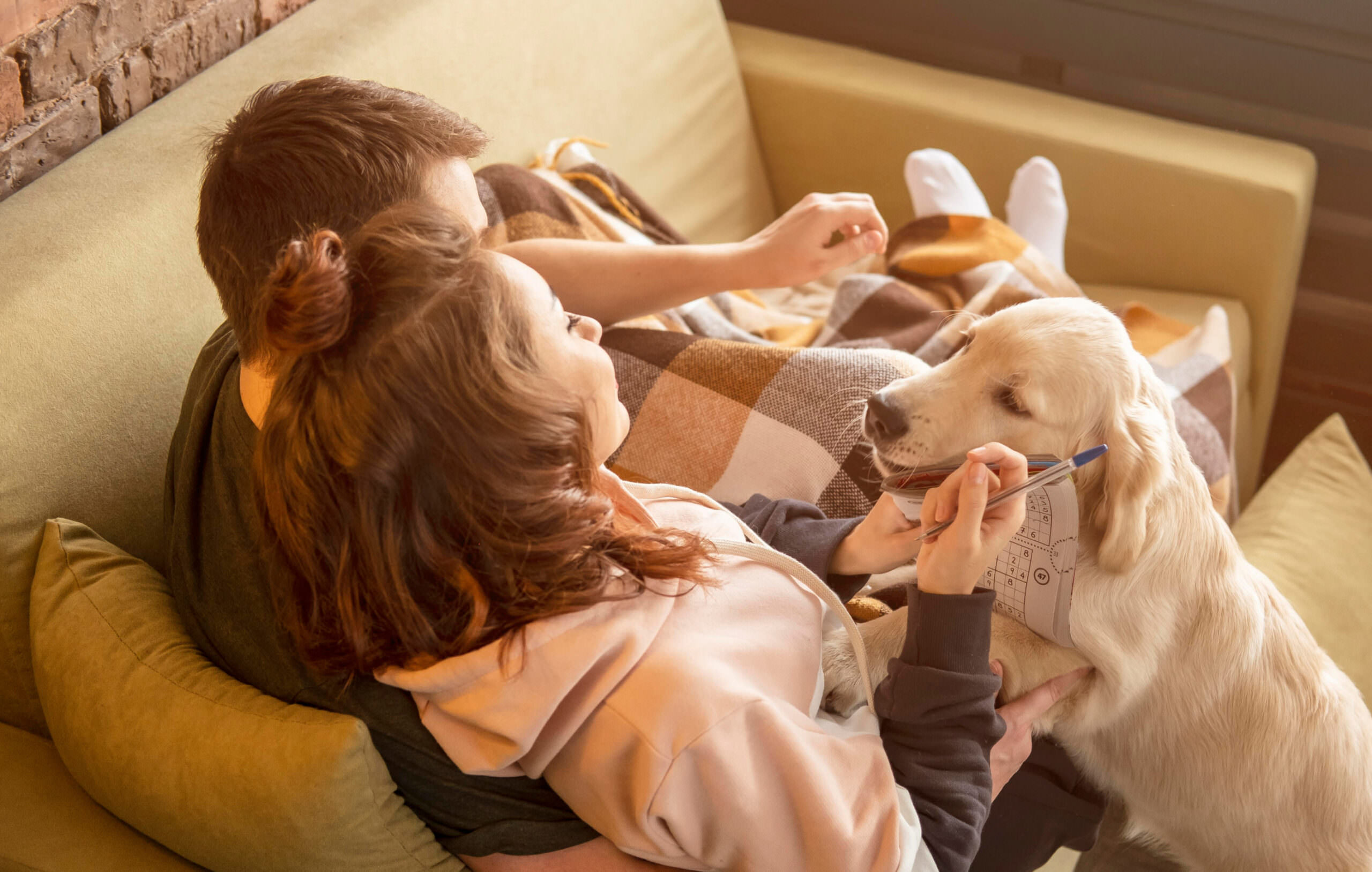 Paar mit Hund liegt entspannt auf dem Sofa und plant die Hochzeit